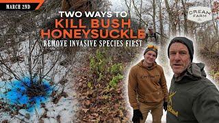 Two Ways to Remove Bush Honeysuckle - Controlling Invasive Plants | Dream Farm w/ Bill Winke