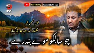 Chou Saliko Moe Bandaria || Imtional Sufi Song || Official  Sufi Song : Mohd Ab Shakhsaaz