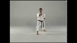 1st Kata - Taigyoku Shodan