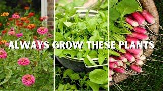 10 Plants You Should ALWAYS Grow