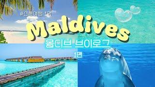 몰디브 신혼여행 브이로그 여기가 천국도,,? 몰디브 리조트 몰디브 상상과 현실ㅣMaldives Vlog #1