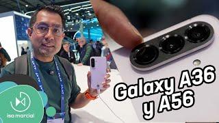 Samsung Galaxy A56 y Galaxy A36 | Primeras impresiones