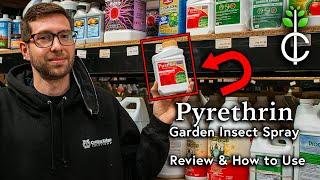 Pyrethrin Garden Insect Spray Review and How to Apply