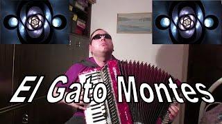 El Gato Montés (Pasodoble) - Accordion - Murathan