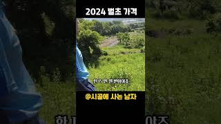 벌초대행가격 2024 벌초 시세