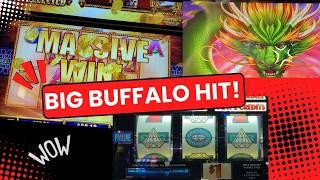 Stunning Win: $1 Slot Machine and Huge Buffalo Bonus!