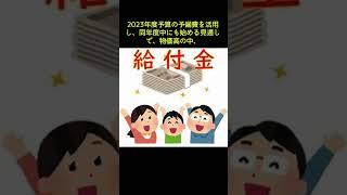 フィフィ「納税している方々が報われない様では、“働いたら負け”というやる気のない社会になりますよ」　#shorts #フィフィ #働いたら負け #給付金