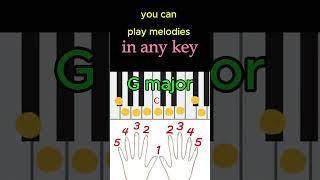 Hand Position for Piano Beginners