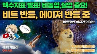 비트코인 실시간, 비트 반등 중! 메이져 상승 중! 백수지표 발표, 비농업,실업 1/10 저녁#비트코인 #비트코인실시간 #이더리움 #리플 #cryptocurrency #차트분석