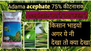 Adama Acemain | Acephate 75% SP insecticide| hindi | Patel agriculture