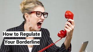 How to Regulate Your Borderline: External Regulation, Regulatory Focus Theory (Higgins)