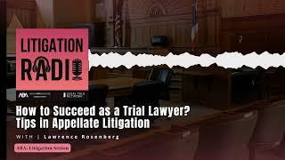 How to Succeed as a Trial Lawyer? –Tips in Appellate Litigation