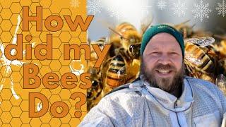 How many SURVIVED Winter - Minnesota Beekeeping Update