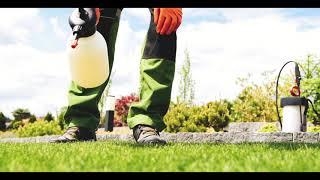 Earthwise Pest Management– The Sacramento Pest Control Experts