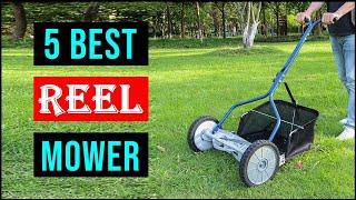 Best Reel Mower in 2024 | Top 5 Best Reel Mowers Buying Guide