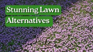 10 Lawn Alternatives to Grass - Low Maintenance,  Eco-friendly Ideas | Aussie Green Thumb