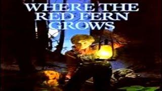 Where the Red Fern Grows chapter 4 | audio book | CC Challenge