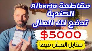 مقاطعة البرتا الكندية تدفع لك 5000$ مقابل الانتقال اليها