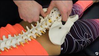 Sacroiliac Joint Mobilization (Posterior to Anterior)