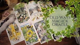 Old Ways Magick Oracle & Pairings - Blessed Samhain