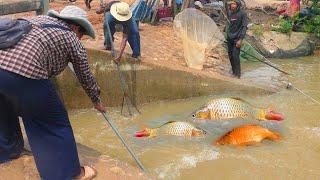 fish catching net village, traditional fishing in cambodia2024#P1040916