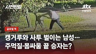 막대기 휘둘렀지만 '똑'…캥거루와의 '맨주먹 결투', 승자는? / JTBC 사건반장