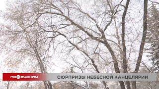 Дождь и плюсовые температуры ожидаются в Иркутской области