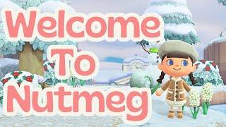 Entrance Build | Winter Christmas Cottagecore Island | ACNH Animal Crossing New Horizons