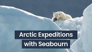 Arctic | Insights from Seabourn's Expedition Expert