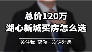 总价120万，珠海湖以新城买房怎么选？ 珠海买房 珠海房产