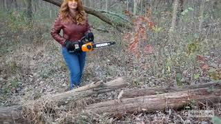 WORX 40V Power Share 14" Cordless Chainsaw w/ Auto-Tension Review