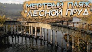 Пляж "ЛЕСНОЙ ПРУД" города Барнаул | Булыгинский Пляж Превратился в Болото | Дамба на Булыгино