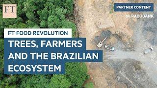 Trees, farmers and the Brazilian ecosystem | FT Food Revolution