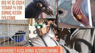 Dış çiçek Tedavisi ve muhabbet kuşlarına azdırıcı mama yaptım