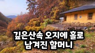 할아버지 먼길떠나시고 산속 오지에 홀로사는 할머니 궁금해서 찾아 가 보았습니다