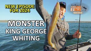 How To Catch Monster King George Whiting