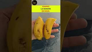 Peut on faire pousser un bananier à partir d’une vraie banane