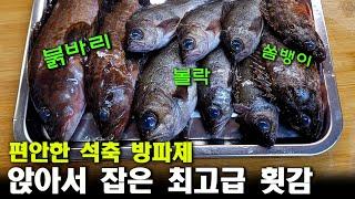 방파제에서 편하게 앉아서 낚시하고 최고급 생선을 먹어보자!! (박선비tv)