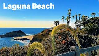 Beautiful Laguna Beach | Treasure Island Beach | CALIFORNIA