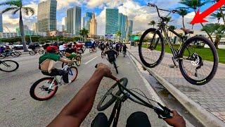 Wheelies In Miami On My NEW Collective Bikes C3 GONE RIGHT!