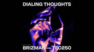 Brizman - The Nicest Song