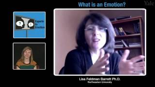 Experts in Emotion 1.2 -- Lisa Feldman Barrett on What is an Emotion