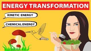 Energy Transformations | Physics