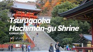 Tsurugaoka Hachiman-gu Shrine,Kamakura | Japan Travel Guide