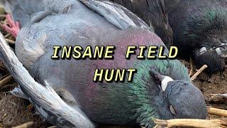 TWO MAN PIGEON HUNT | 100s OF BIRDS IN OUR FACE!