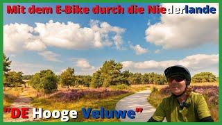 E-Bike Tour in den Niederlanden durch "De Hooge Veluwe"