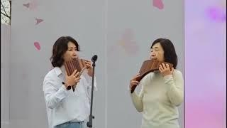 23.04.06(목)#여의도벚꽃축제#우리는~~#에레스뚜#Ocarina&Panflute