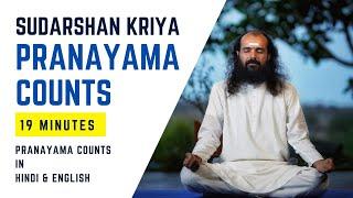 Pranayam Counts for Sudarshan Kriya | Brahmachari Chirag