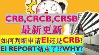 【Oct 9】加拿大疫情复苏福利更新：加拿大复苏福利 CRB, CRCB, CRSB最新更新| 为什么CERB转EI后显示不可以继续做Report? |Apply EI or CRB?| 婷婷谈钱