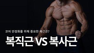 코어 안정화를 위해 중요한 복근은? 복직근 VS 복사근